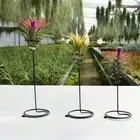 3Pcs Metal Air Pineapple Stand Base Plant Flower Rack Holder Home Balcony SFB