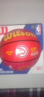 Wilson NBA Player Icon Trae Young Outdoor Ball WZ4013201XB, basketball balls