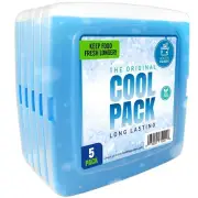 Healthy Packers Reusable Ice Pack for Lunch Box or Cooler Bag (Set of 5)
