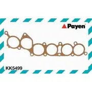 Payen Fuel Injection Plenum Gasket - KK5499