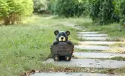 12 in H Bear Holding Welcome Sign Garden Statue Home Decor Yard Entryway