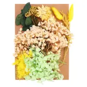 Pressed Flowers Bulk Dried Flowers Natural Pressed Flowers Leaves Yellow Series