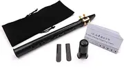 xinyee Black Pocket Sax Mini Portable Saxophone Little Saxophone with Carrying Bag Woodwind Instrument