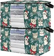 sanluoli 60L 2 Pack Under Bed Boot Storage with Reinforced Handles, clear window Closet Organizer