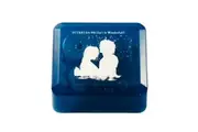 Final Fantasy X Suteki Da Ne (Isn't It Wonderful) Music Box