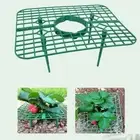 5Pcs Plastic Strawberry Stand Holder Square Planter Tray Garden Tools