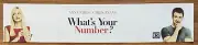 ⭐ What's Your Number - Anna Farris - Movie Theater Mylar / Poster Small