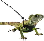 Sosoport Reptile Lizard Harness Set 2 Packs Lizard Leash Harness Traction Rope for Pet Supplies