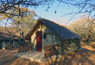 野狗野生動物園旅館