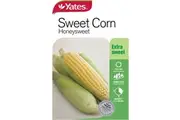 Yates Sweet Corn Honeysweet Seeds 10 G