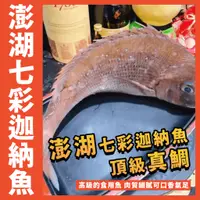 在飛比找蝦皮購物優惠-【鮮煮義美食街】澎湖七彩迦納魚／迦納魚／真鯛／700g~80