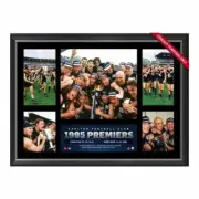 CARLTON BLUES 1995 PREMIERS FRAMED POSTER WILLIAMS SILVAGNI AFL MEMORABILIA