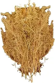 Miniature Trees 1/72 1/35 Trees Model Railroad Scenery Diorama Supplies Scenery Landscape, Yellow