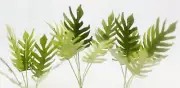 TROPICAL JUNGLE PLANTS MODEL SET 1/35 SCALE. TPV-052
