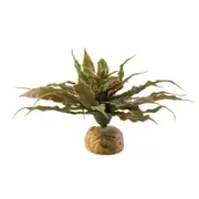 Star Cactus 23cm Reptile Decoration by Exo Terra