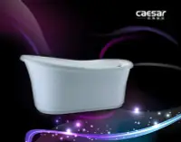 在飛比找Yahoo!奇摩拍賣優惠-【 達人水電廣場】 CAESAR 凱撒衛浴 AT6540 獨