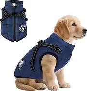 Reflective Padded Dog Jacket with Built-in Harness, Water-Resistant Winter Dog Coat with D-Ring Leash & Fur-Safe Zipper, Warm Windproof Coats for Small Dogs and Kittens (Blue, M)