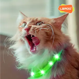 LaRoo萊諾 F31 發光LED項圈 45cm 發光項圈 貓項圈 USB充電 - 艾爾發寵物 Alphapetstw