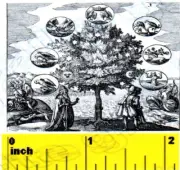 DOLLSHOUSE Mini Halloween Witch / Wizard / Alchemist / Magic Print CDHM 1:12