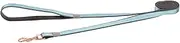 Rogz Classic Urban Dog Lead Turquoise Small