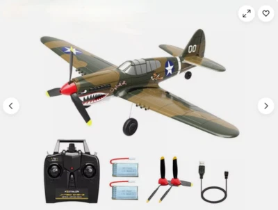 2.4G Radio Remote Control Planes P-40 Fighter RC Airplane For Adult Kids RTF Toy