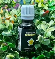 Frangipani Essential Oils ~ Pure Natural Aromatherapy Massage Oil - Therapeutic Grade - 100% Natural Incense - Pure essential oil (100ml)