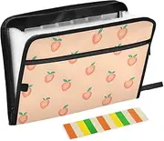 Quteprint 13 Pockets Expanding File Folder with Zipper Closure, Peach Pattern Accordion File Folder with Sticky Labels, Letter Size A4 Papers Expandable File Document Organizer