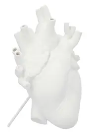 SELETTI 'Love In Bloom' Vase
