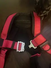 construction safety harness