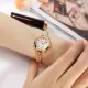【LICORNE】優雅迷人 小錶徑 閃耀晶鑽 藍寶石水晶玻璃 不鏽鋼手錶 白x鍍玫瑰金 24mm(LT160LRWI)