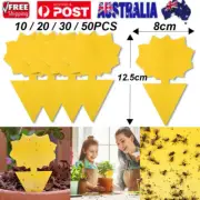 10//30/50PCS Dual Sided Sticky Trap Insect Indoor Whitefly Thrip Fruit Fly Gnat
