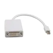 8ware GC-MDPDVI 20cm Mini DisplayPort DP to DVI 24+5-pin Male to Female Adapter - White