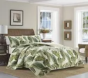 Tommy Bahama - Queen Quilt Set, Reversible Cotton Bedding with Matching Shams, Soft All Season Bedspread, Coastal Home Decor (Fiesta Palms Green, Queen)