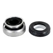 Astral Shaft Seal for Sena Ip Pump Astralpool (254619601)