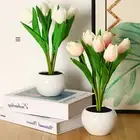HG Tulip Night Light LED Flower Table Lamp Atmosphere Light Bedroom Bedside Lamp