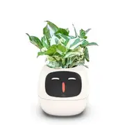 Smart Flowerpots,Smart Pet Planter,AI Planter,Intelligent Flowerpots,Multiple Expressions,7 Smart Sensors,and AI Chips Make Raising Plants Easy and Fun for Living Room,Plant-free (White)
