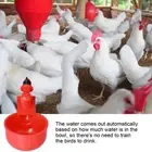 Automatic Chicken Waterer Hanging Water Cups For Quail Duck Goose Pet Bir