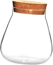 HIAKDOFT 1Pc Clear Bubble Bowl Terrarium Creative Vase for Succulent Plants DIY Crafts Home Decor Accent with Cork Stopper Present for Friends and Family