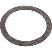 Gasket, Triton, 2" Bulkhead, Generic
