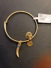 Alex And Ani Bracelet $28