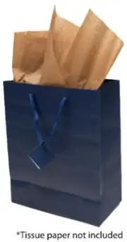 Novel Box Navy Blue Matte Laminated Euro Paper Gift Bags 8X4X10 (10 counts)