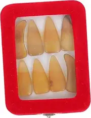 ibasenice 1 Set Nails Finger Pick Accessories Nail Art Supplies Nail Supplies Picks Zither Finger Pick Fingertip Protection Covers Fake Finger Picks Horns