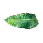 Bath Mats for Bathroom Door Mats Area Rug Green Leave Diatom Mud Bath Mat5609