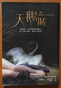 在飛比找Yahoo!奇摩拍賣優惠-【探索書店280】愛情小說 天鵝賊 伊麗莎白．柯斯托娃 大塊