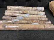 6 Pack Small Birch Logs for Fireplace Unfinished Wood Crafts DIY Home. Kingcraft