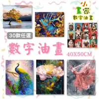 在飛比找momo購物網優惠-【台灣小畫家】數字油畫 40X50CM 30款任選(數字油畫