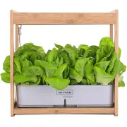 PLANTCRAFT 12 Pod Indoor Hydroponic Growing System with Bamboo Frame & LED
