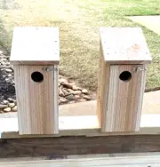Pair of Cedar Bluebird Bird Houses ~ Easy Open & Clean ~ MADE IN THE USA