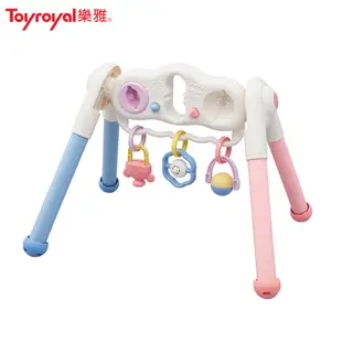 【Toyroyal 樂雅】寶寶二合一智育健力架