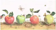 * GREEN RED APPLES DRAGONFLIES BEES KITCHEN Wallpaper bordeR Wall Decor